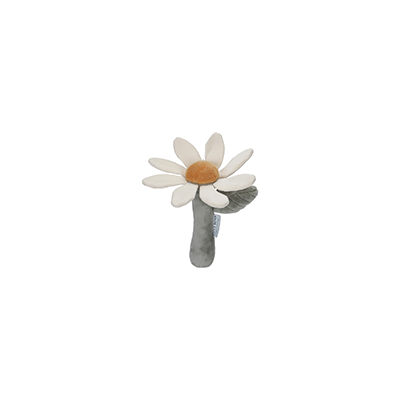 Rattle flower