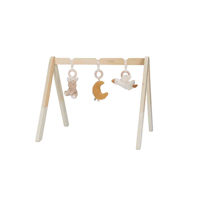 Babygym