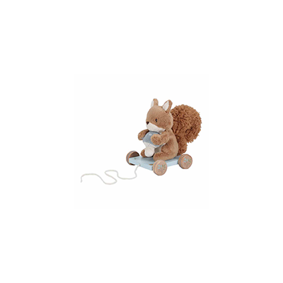 Zugtier Eichhrnchen