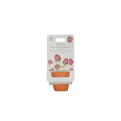 Plantenpotje Aardbei