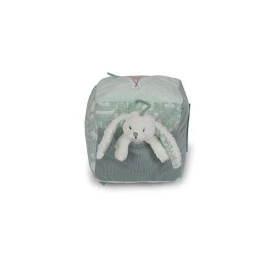 Kubus Adventure mint