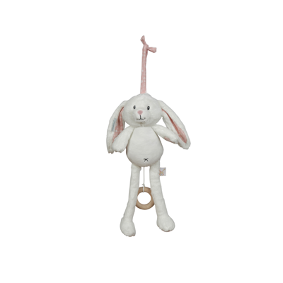 Muziekdoosje Adventure pink