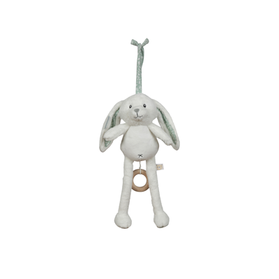 Muziekdoosje Adventure mint