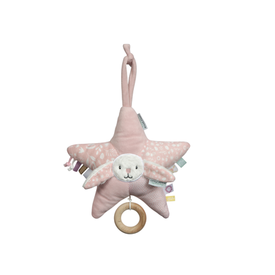 Muziekdoos ster Adventure pink
