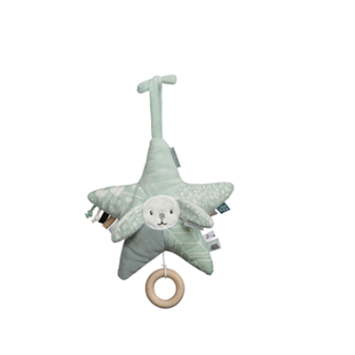 Muziekdoos ster Adventure mint